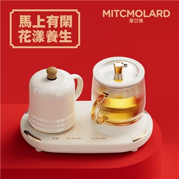 花漾养生壶TKM-8109